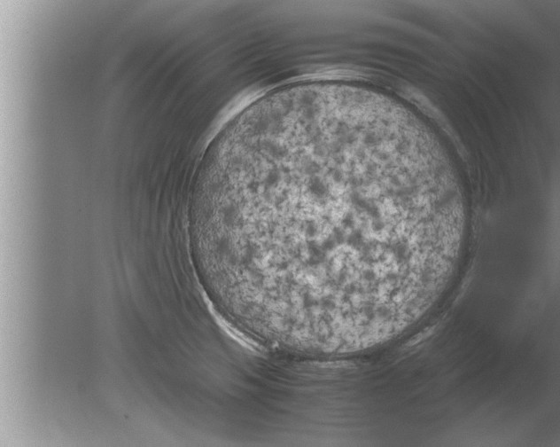 X0000080171425200612302208