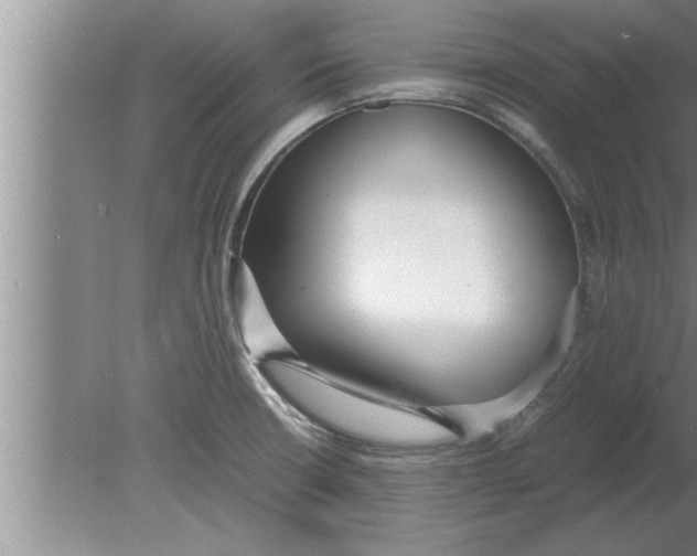 X0000080171426200612302208