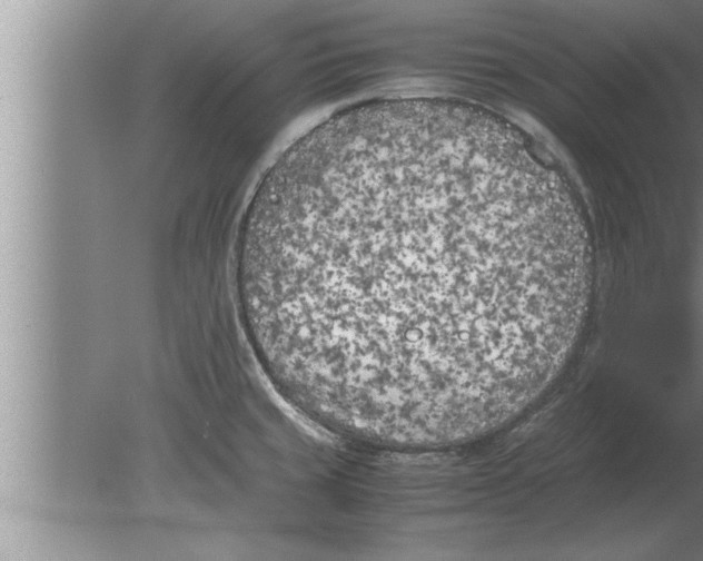 X0000080171429200612302208