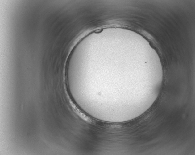 X0000080171431200612302208