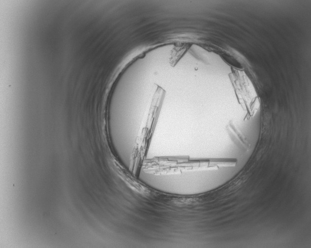 X0000080171435200612302208