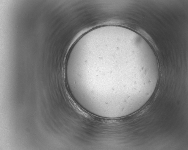 X0000080171436200612302208