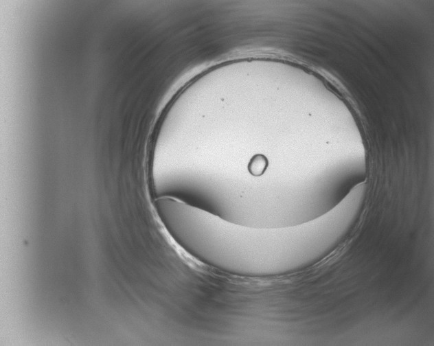 X0000080171438200612302208