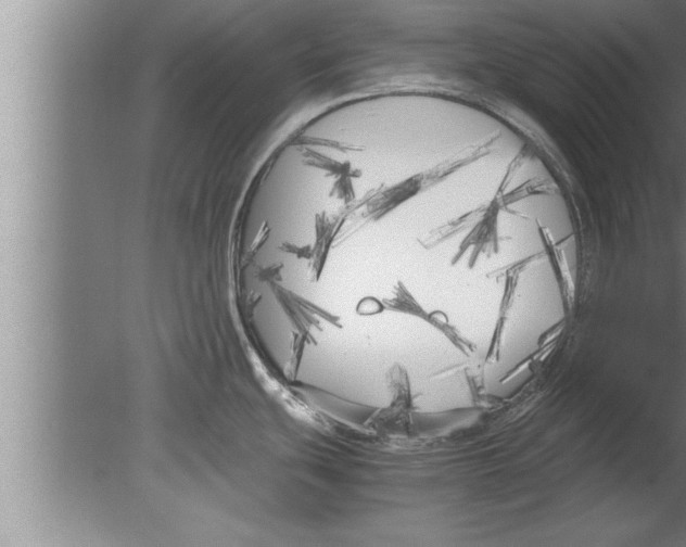 X0000080171439200612302208