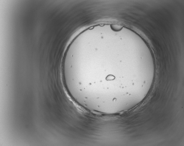 X0000080171440200612302208