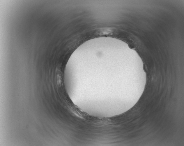 X0000080171442200612302207