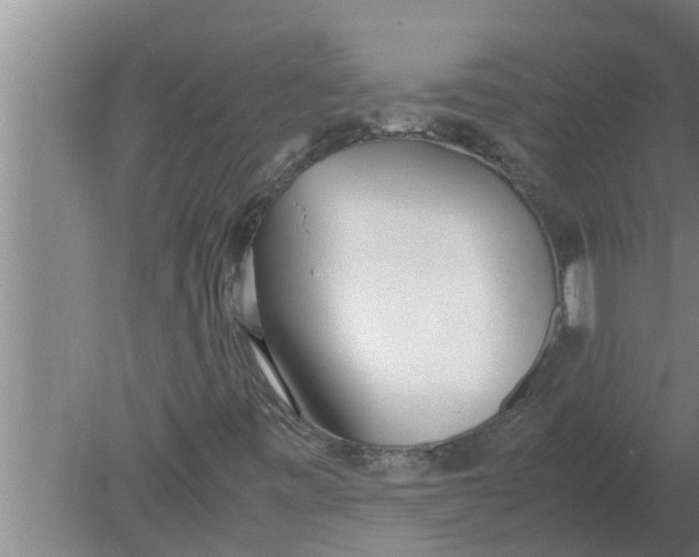 X0000080171443200612302207