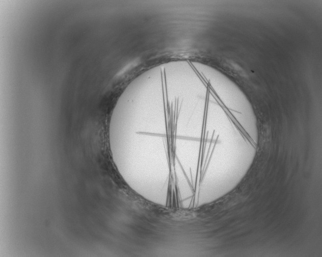 X0000080171446200612302207