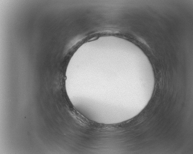 X0000080171448200612302207