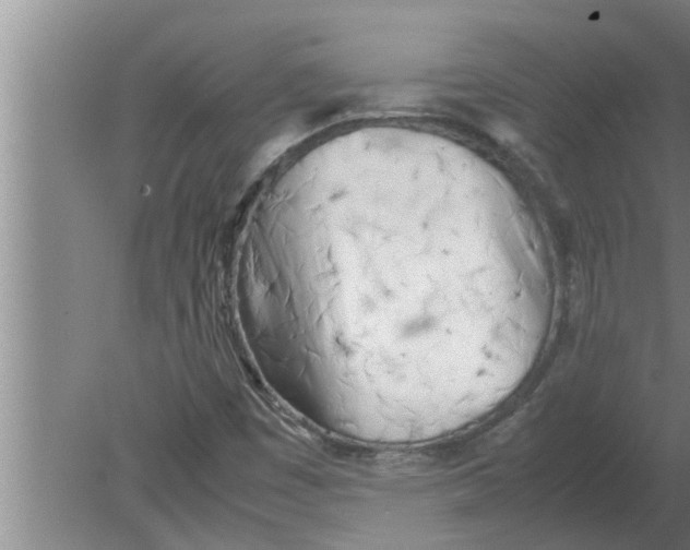 X0000080171449200612302207