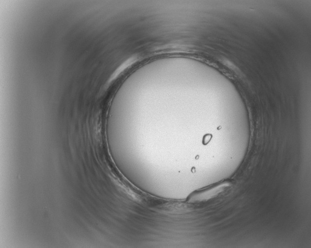 X0000080171450200612302207