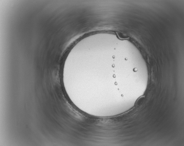 X0000080171452200612302207