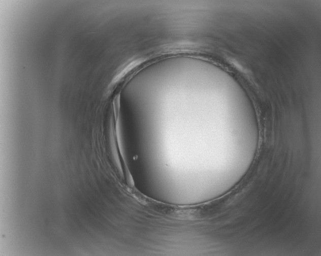 X0000080171453200612302207