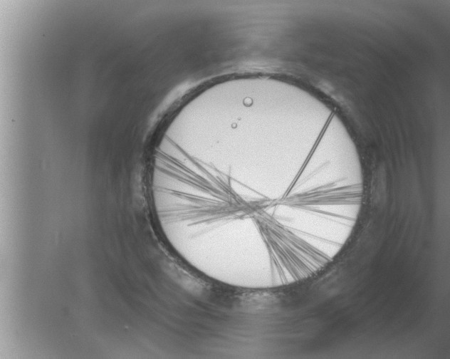 X0000080171454200612302207