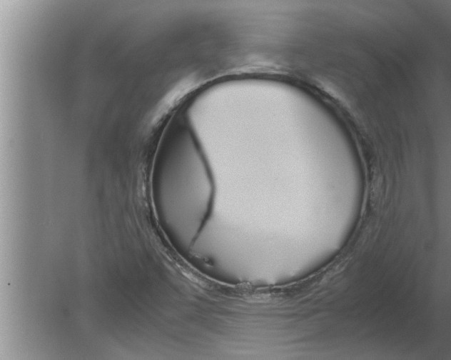 X0000080171455200612302207