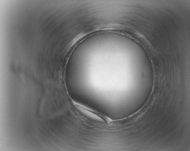 X0000080171457200612302207