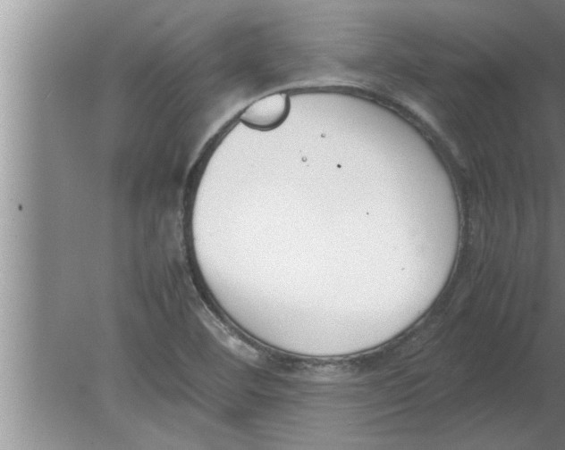 X0000080171460200612302207