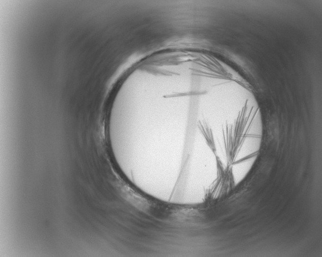 X0000080171462200612302207