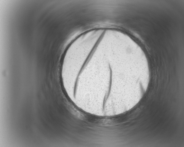 X0000080171463200612302207