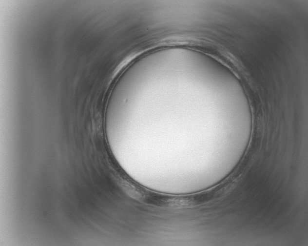 X0000080171465200612302207