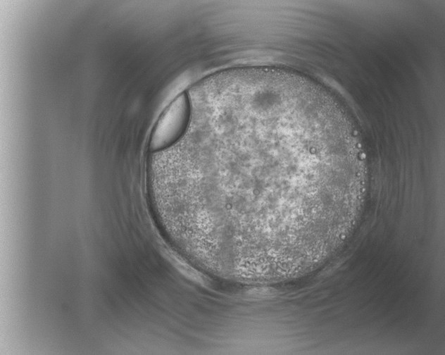 X0000080171467200612302207