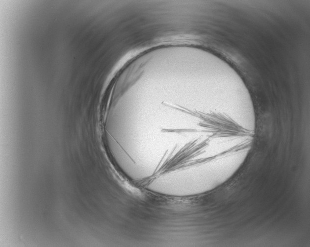 X0000080171470200612302206