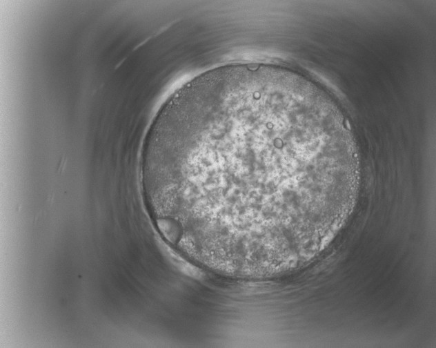 X0000080171471200612302206