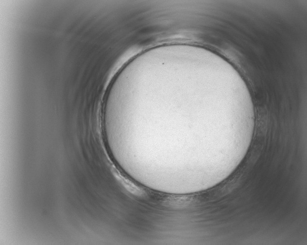 X0000080171474200612302206