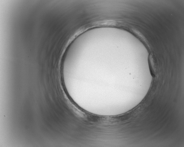 X0000080171475200612302206