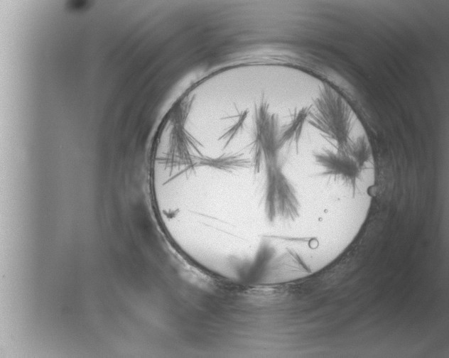 X0000080171478200612302206