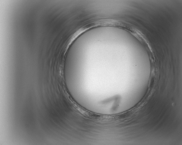 X0000080171481200612302206