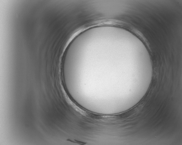 X0000080171483200612302206