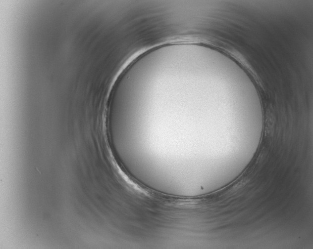 X0000080171484200612302206