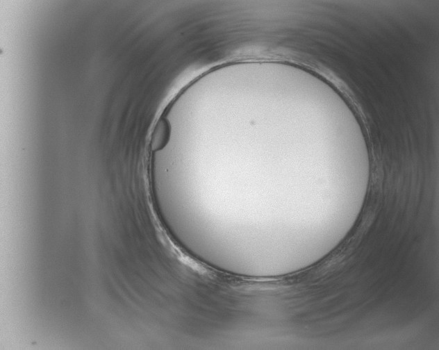 X0000080171486200612302206