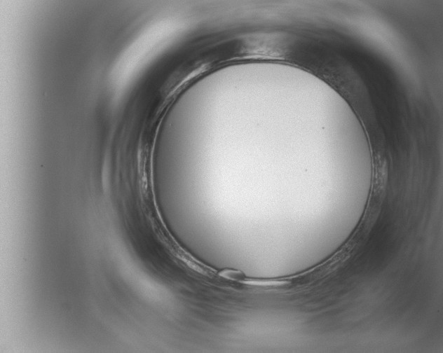 X0000080171487200612302206