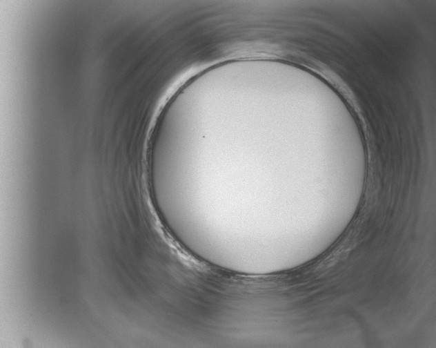 X0000080171488200612302206