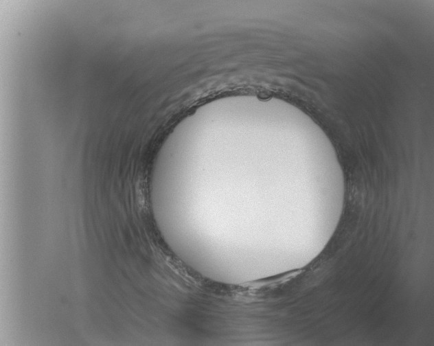 X0000080171490200612302205