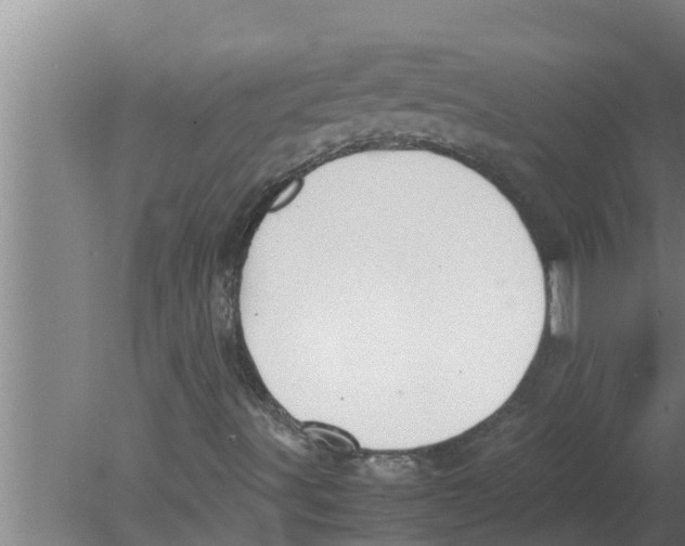 X0000080171491200612302205