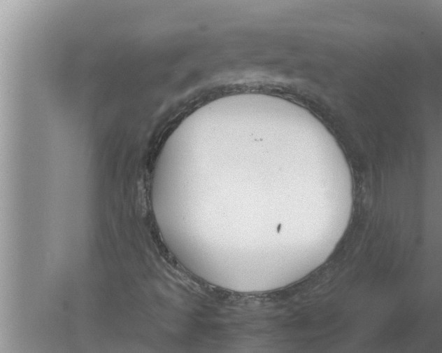 X0000080171493200612302205