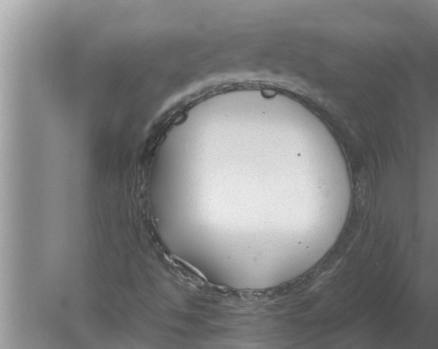 X0000080171494200612302205