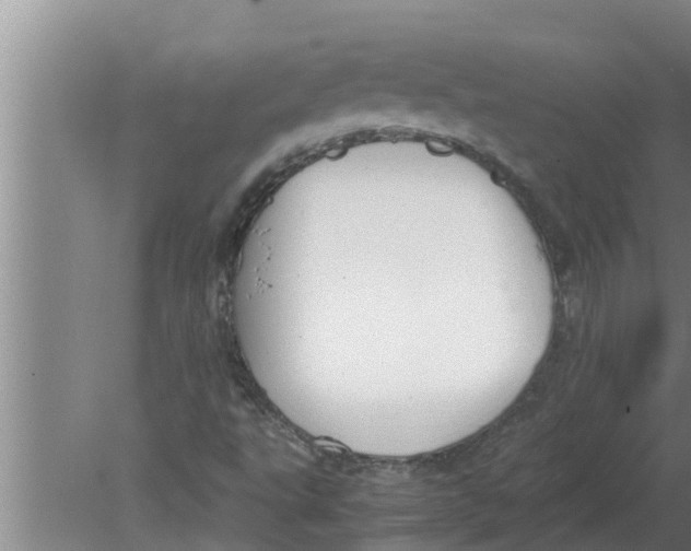 X0000080171495200612302205