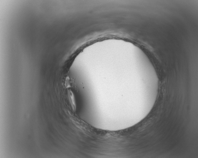 X0000080171496200612302205