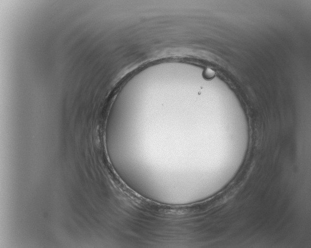 X0000080171497200612302206