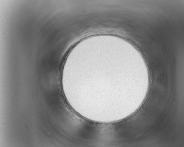 X0000080171498200612302206