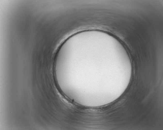 X0000080171500200612302206