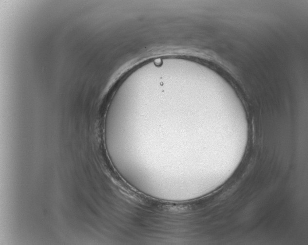 X0000080171501200612302206