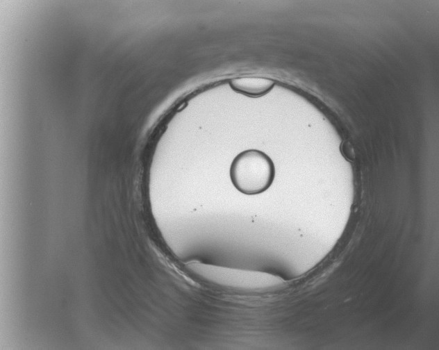 X0000080171502200612302206