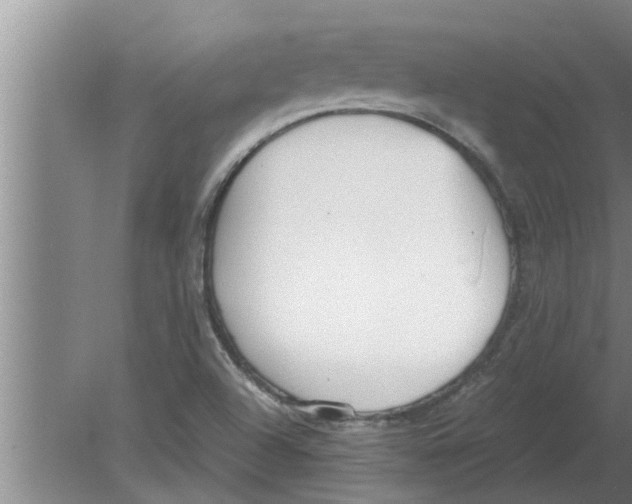 X0000080171504200612302206