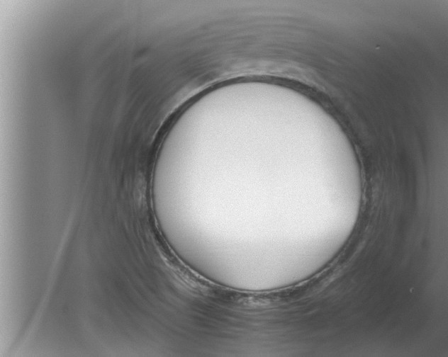 X0000080171505200612302206