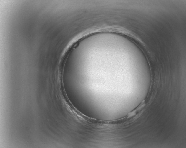 X0000080171506200612302206